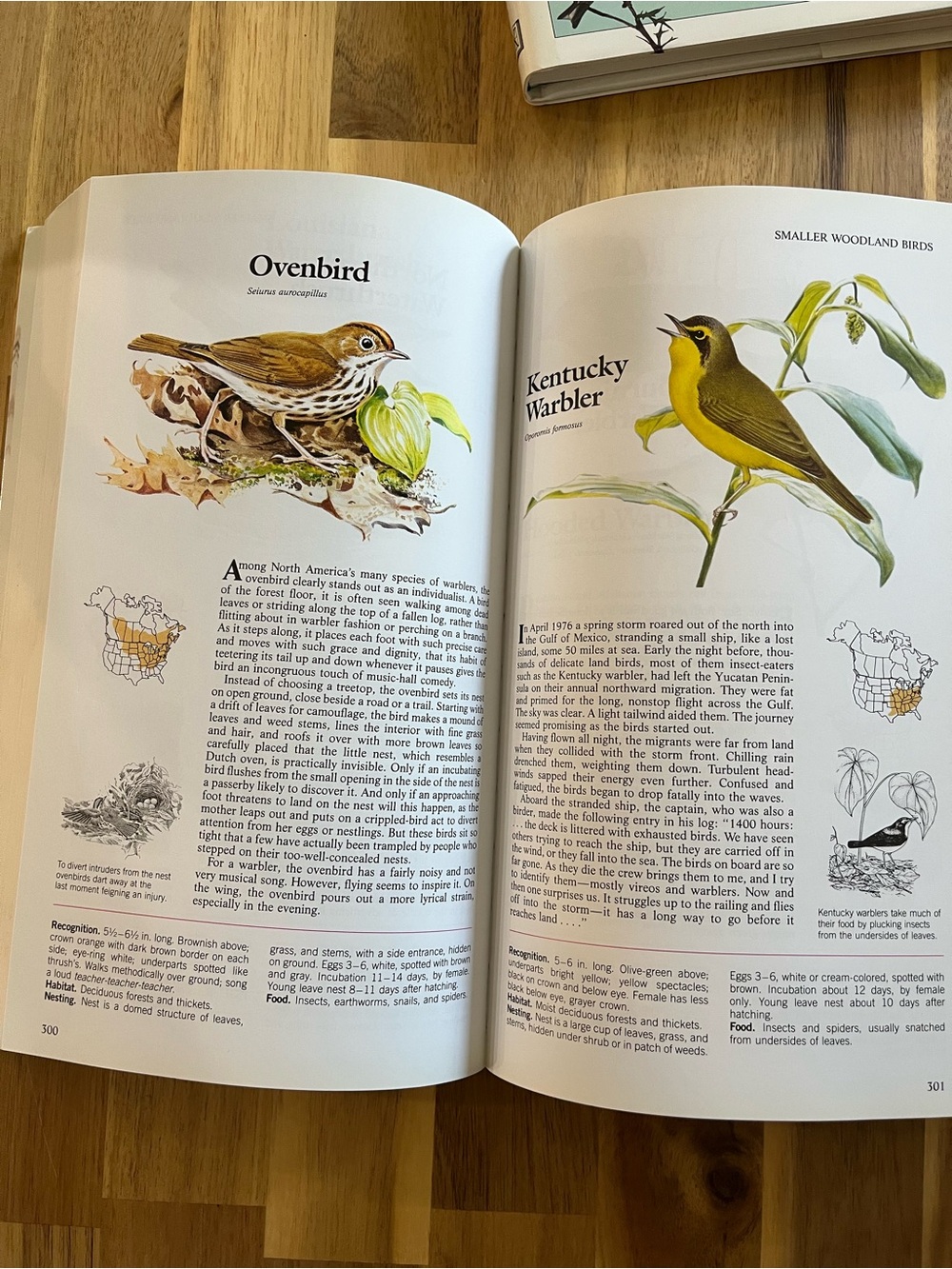 Vintage 1990s Bird Books, Lot of 2 - Picture 5 of 6